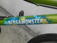 Велосипед Bergamont Bergamonster 20 - 5300 грн